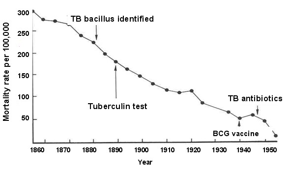 Graph of tuberculosis mortality in the United Kingdom from 1850 to 1950. Mortality declines in an almost linear fashion from 300 per 100,000 population to less than 10 per 100,000. There are transient increases in mortality during the first and second world wars.